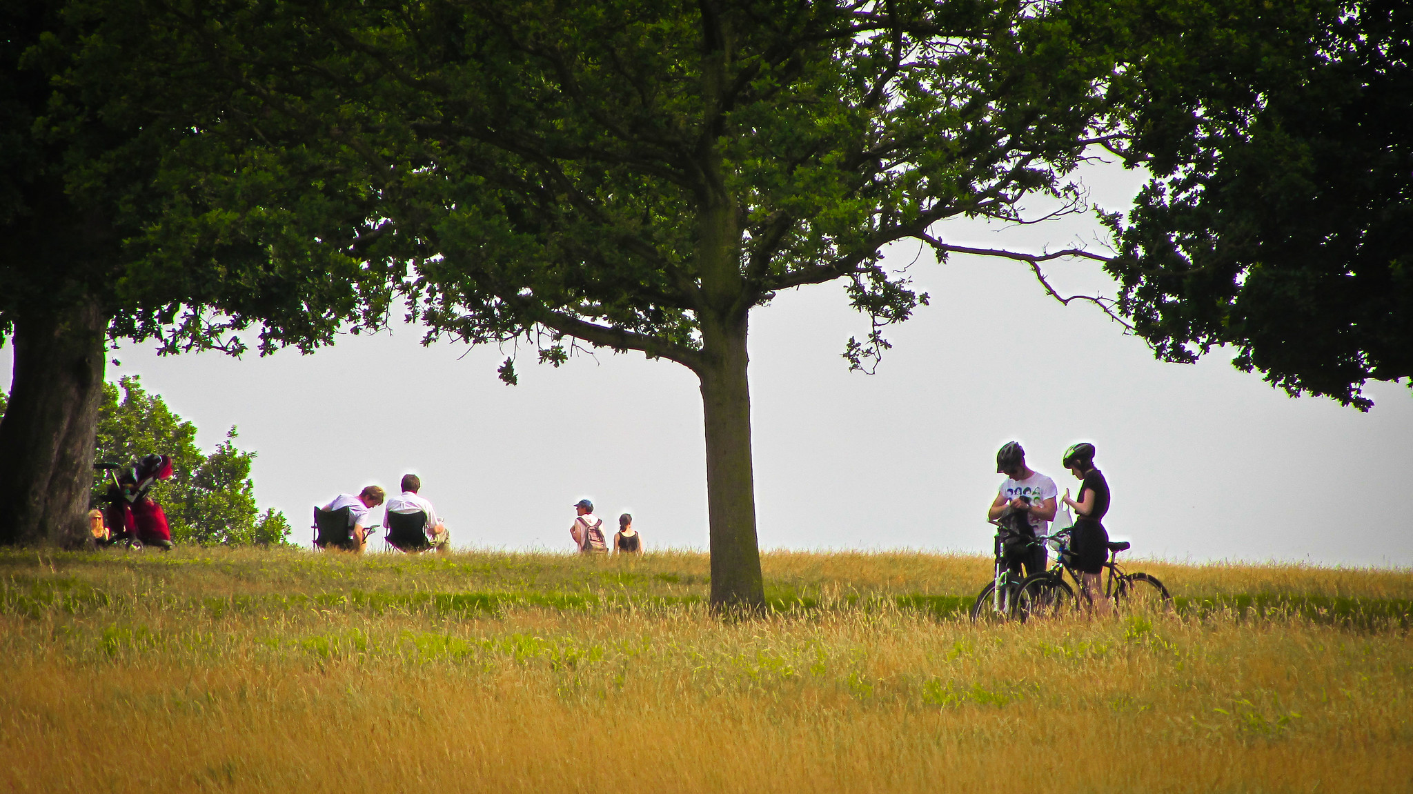 social cycling route at Richmond Park
